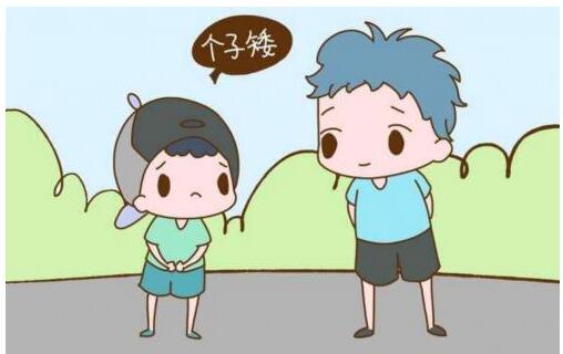 南京矮个子有什么危害